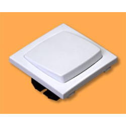 47011 SBR Одноклавишный выключатель Серия 47