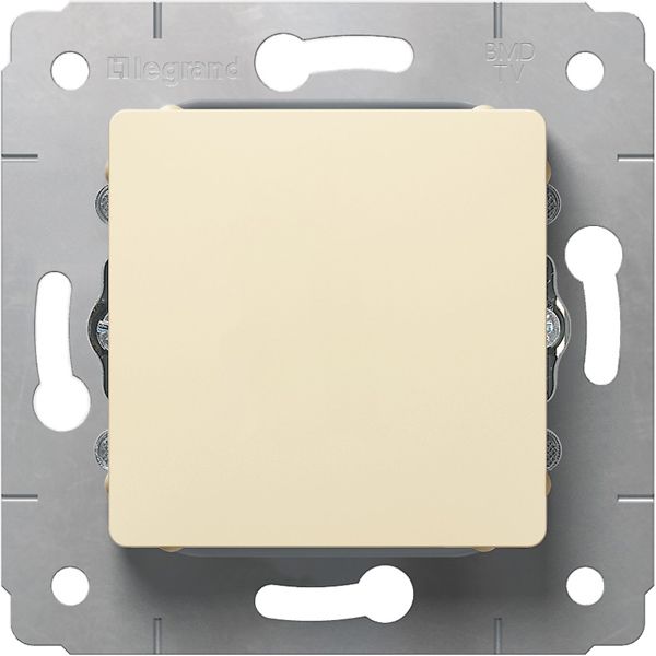 Купить LEGRAND 773746 Заглушка монтажная, слоновая кость, Cariva L773746 Legrand L773746 Legrand